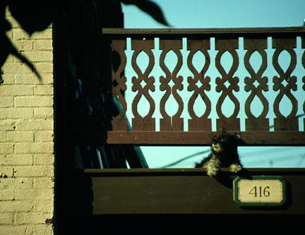 Hundeto en St. Charles, Missouri