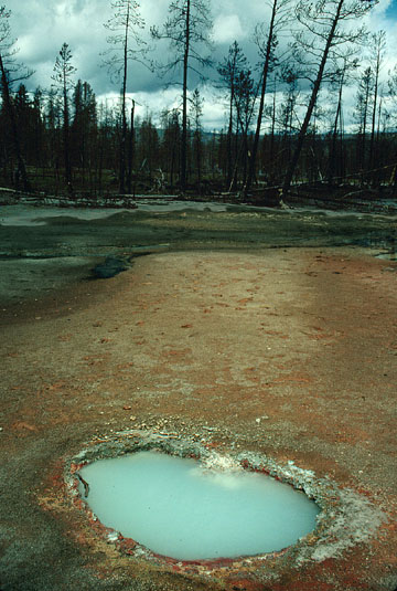 akvokuvo en Yellowstone National Park